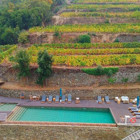 Quinta De Travassinhos- Douro Valley & Spa Santa Marta de Penaguião Kültér fotó