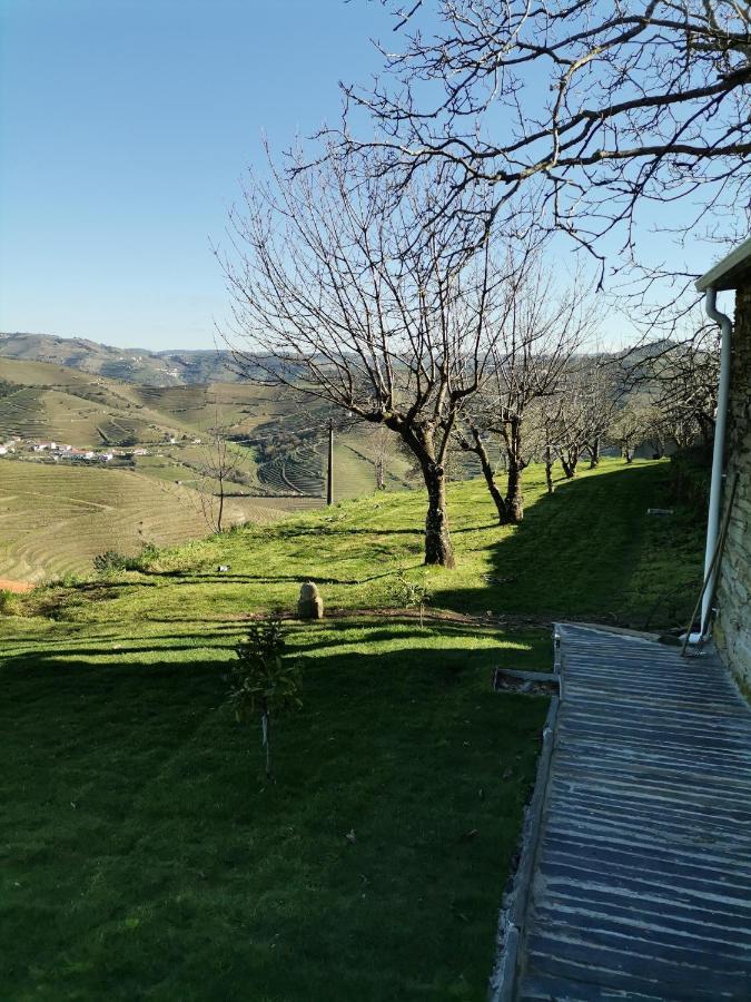 Quinta De Travassinhos- Douro Valley & Spa Santa Marta de Penaguião Kültér fotó