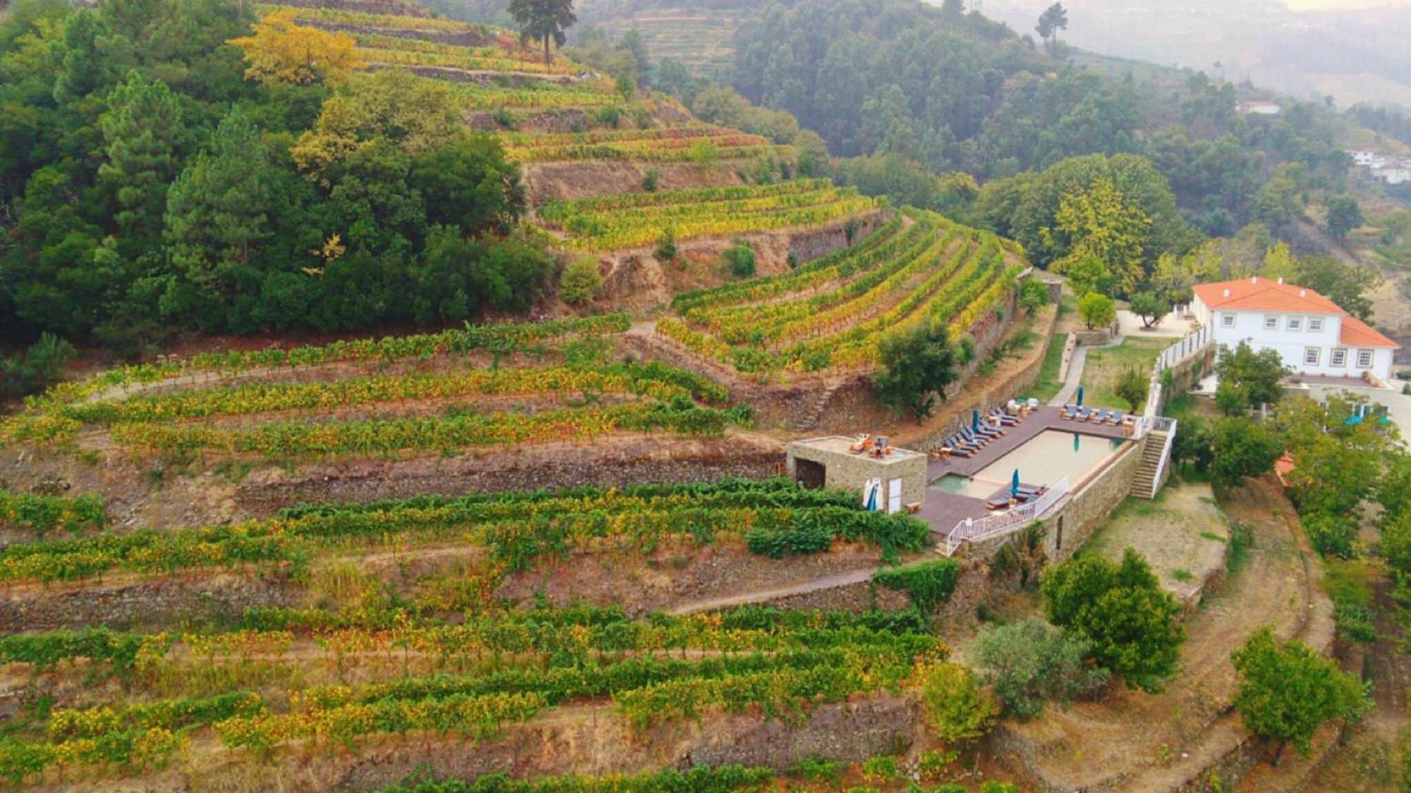 Quinta De Travassinhos- Douro Valley & Spa Santa Marta de Penaguião Kültér fotó
